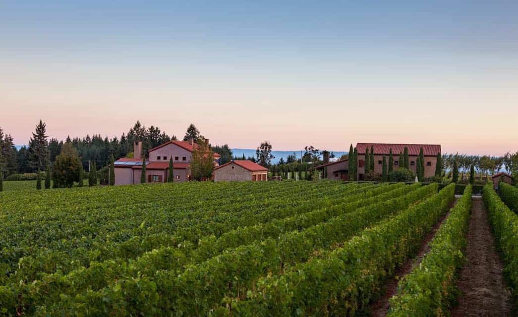 Multiple red brick buildings surrounded by fields of grape vines