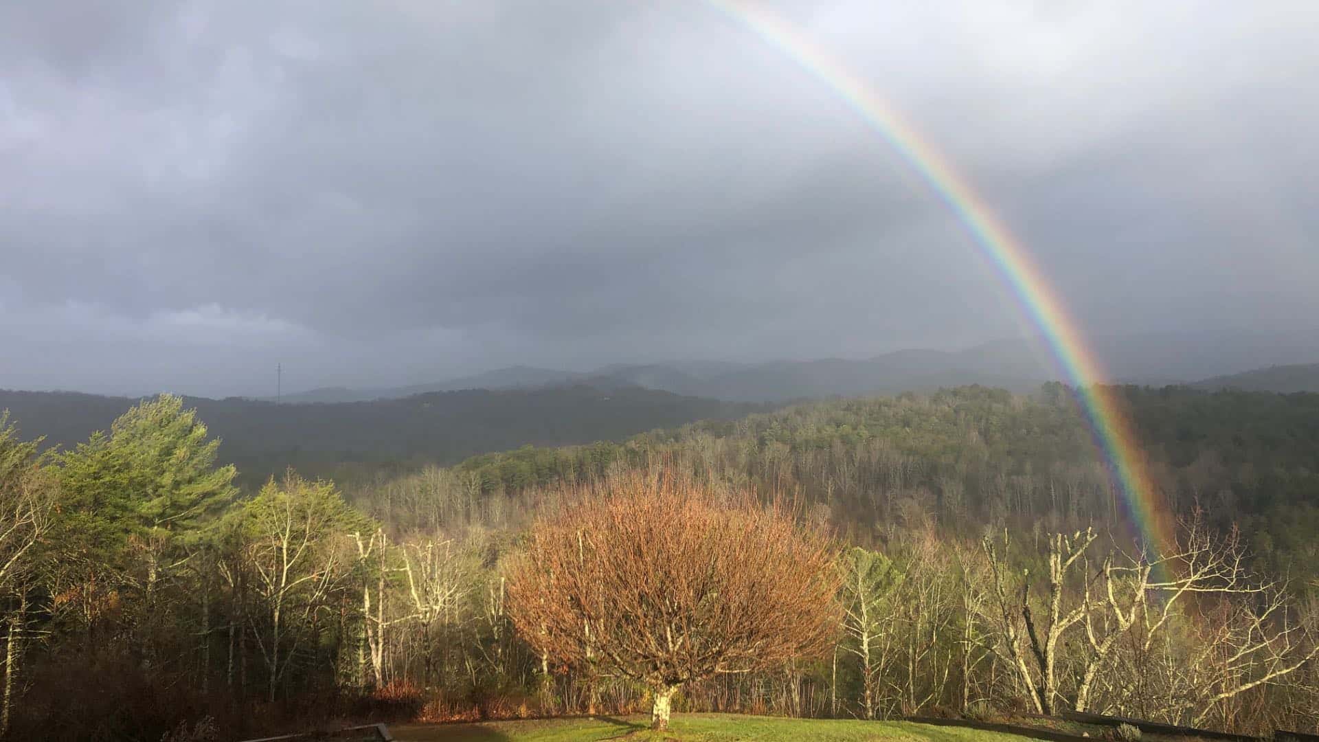 Rainbow over rolling hills of green trees