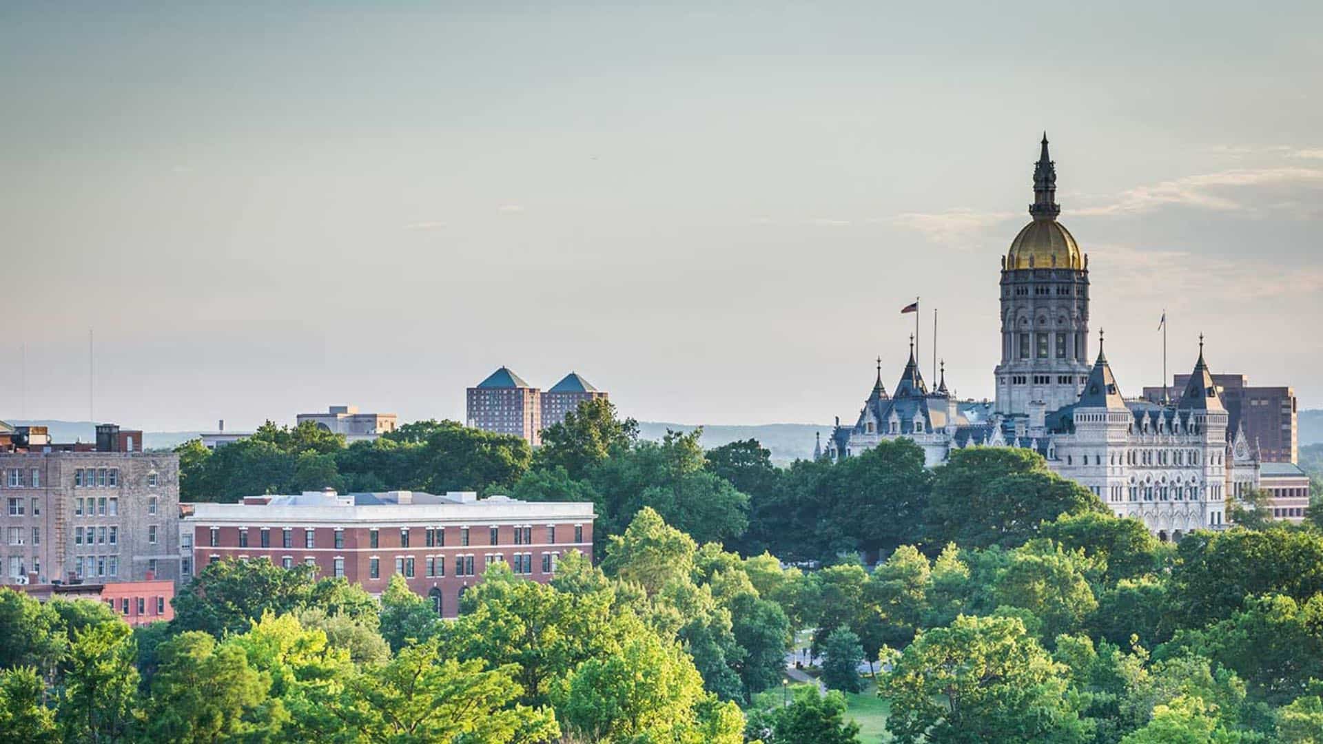 View of a handful of downtown buildings surrounded by green trees