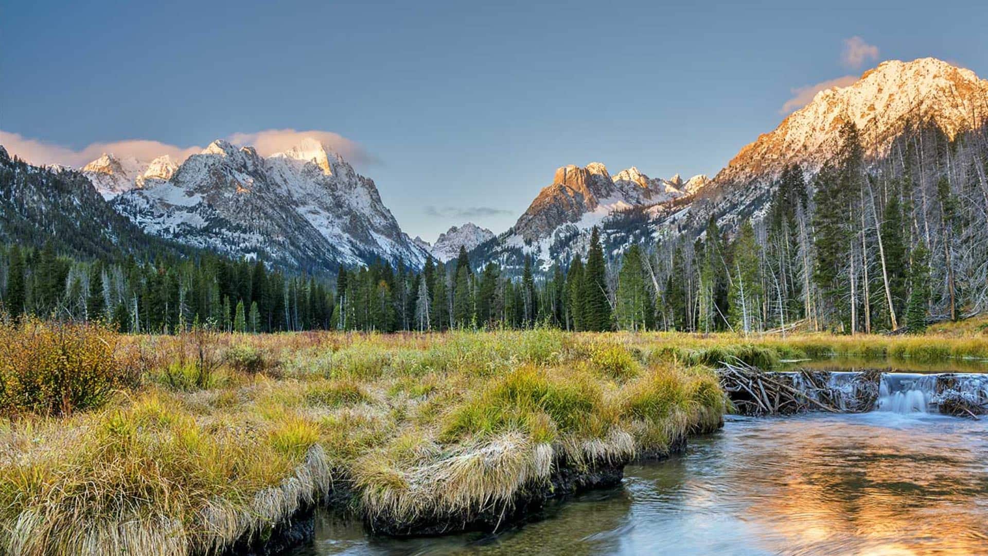 Small river surrounded by green and yellow grass with green trees and snowcapped mountains in the background