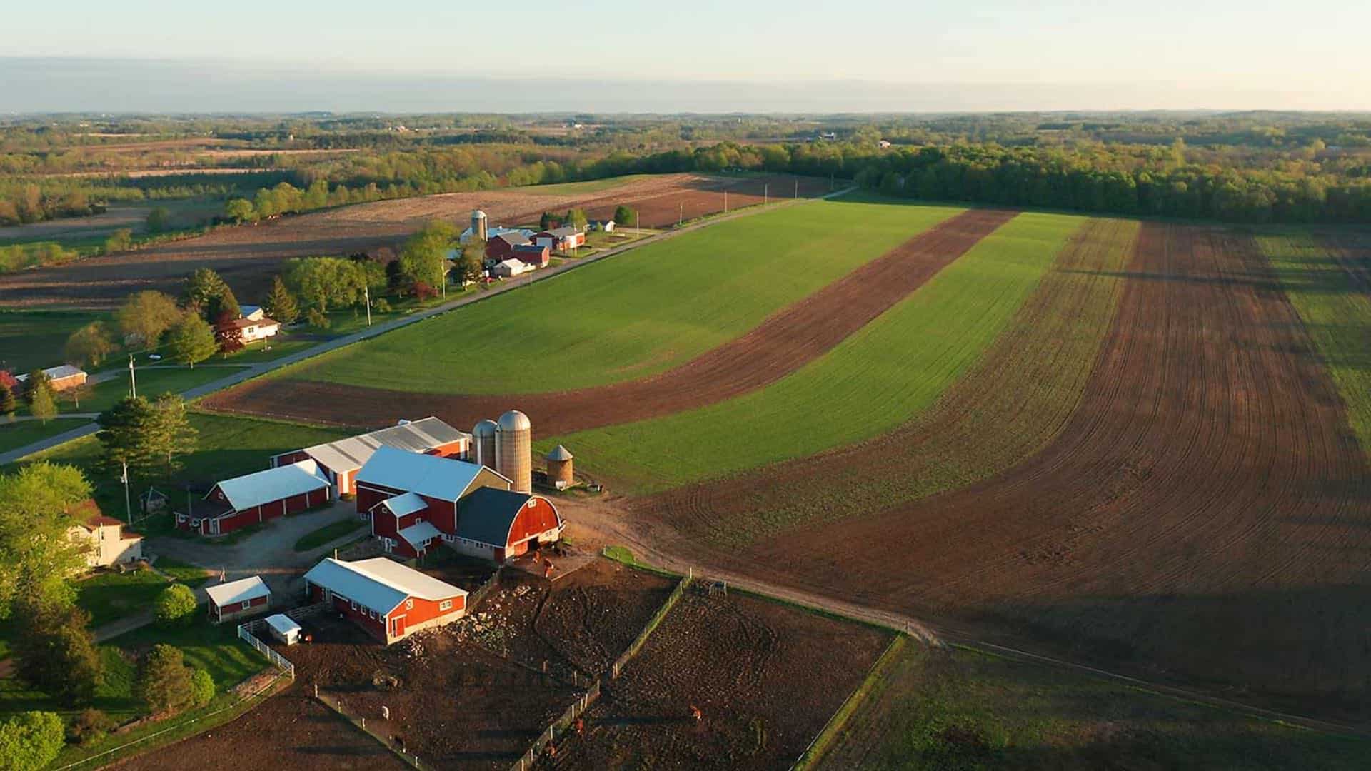 Aerial view of farm houses and large green and brown fields surrounded by green trees