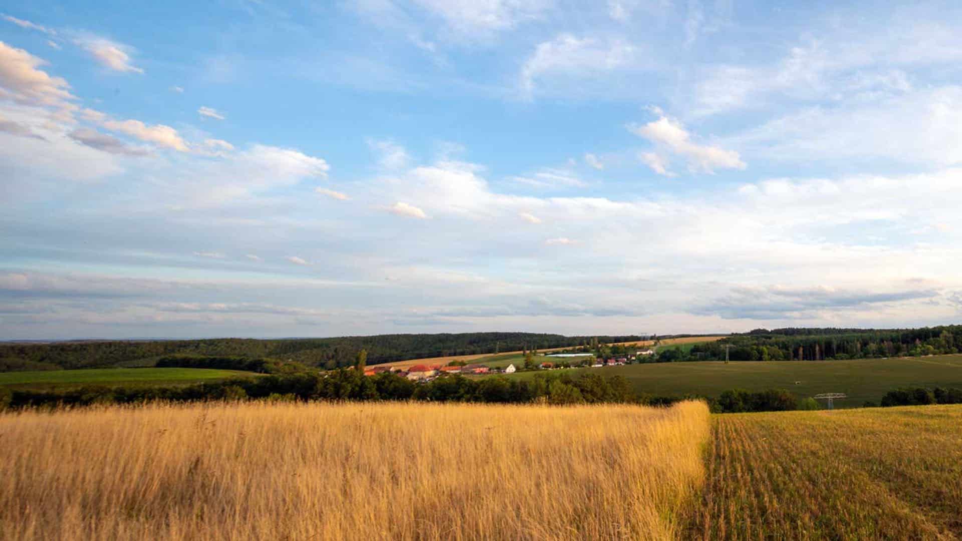 Wheat field with rolling green hills and farm houses in the background