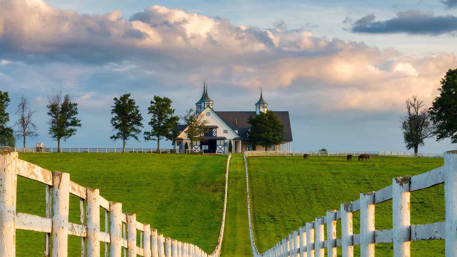 Long narrow green grass path flanked by white fencing and more green grass leading up to a property on a hill