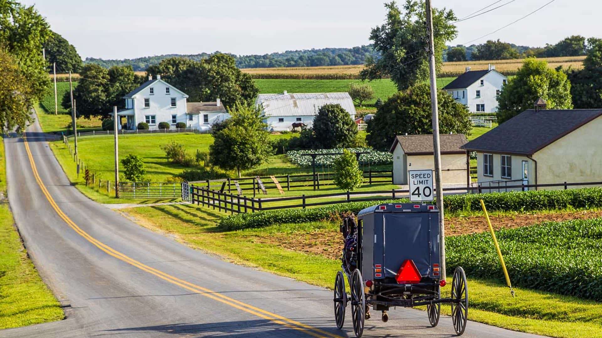 Horse drawn buggy on small paved road surrounded by farm houses and fields