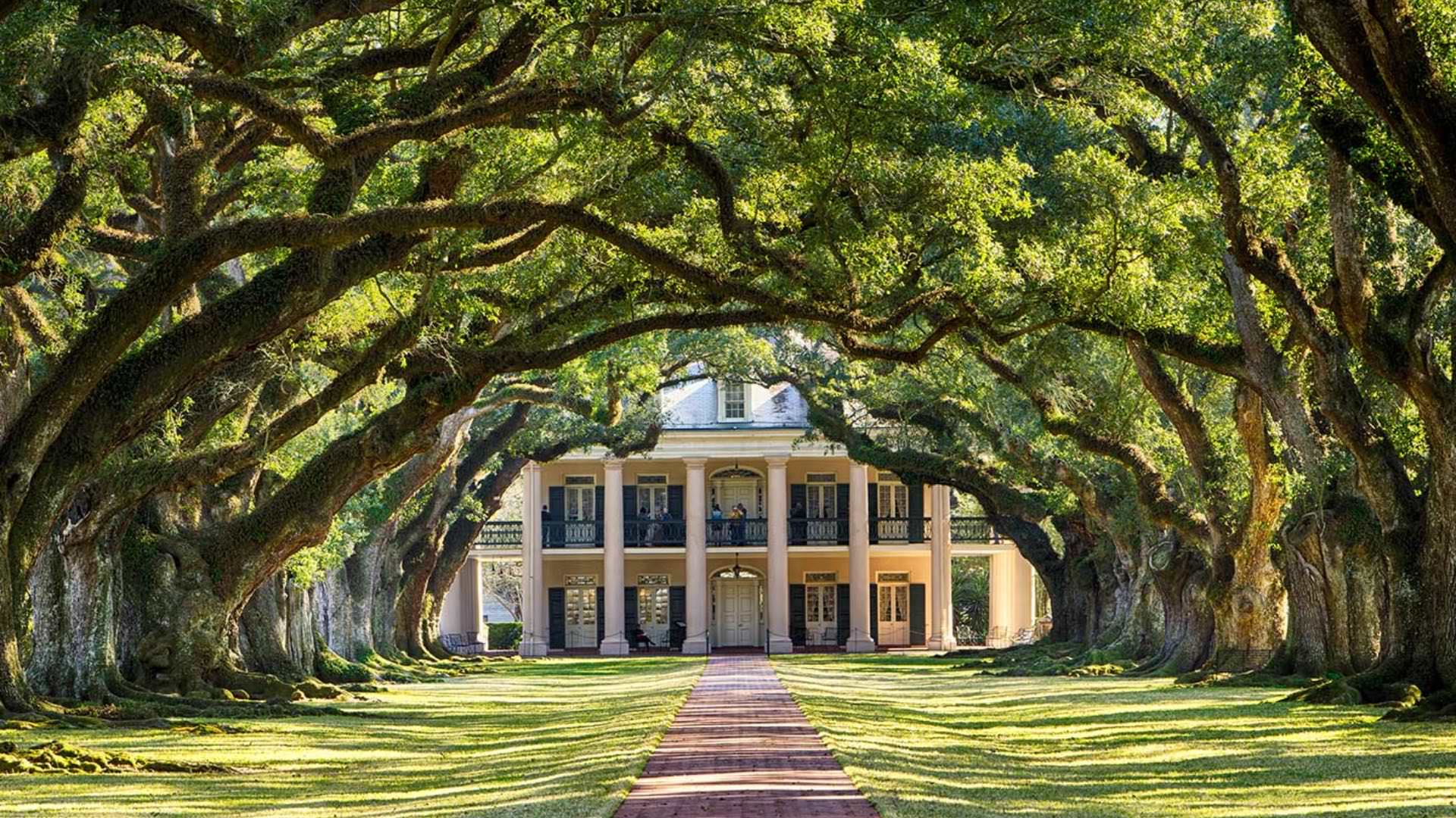 Exterior view of a property painted white with dark shutters, large white columns, and red brick path under a canopy of large mossy trees