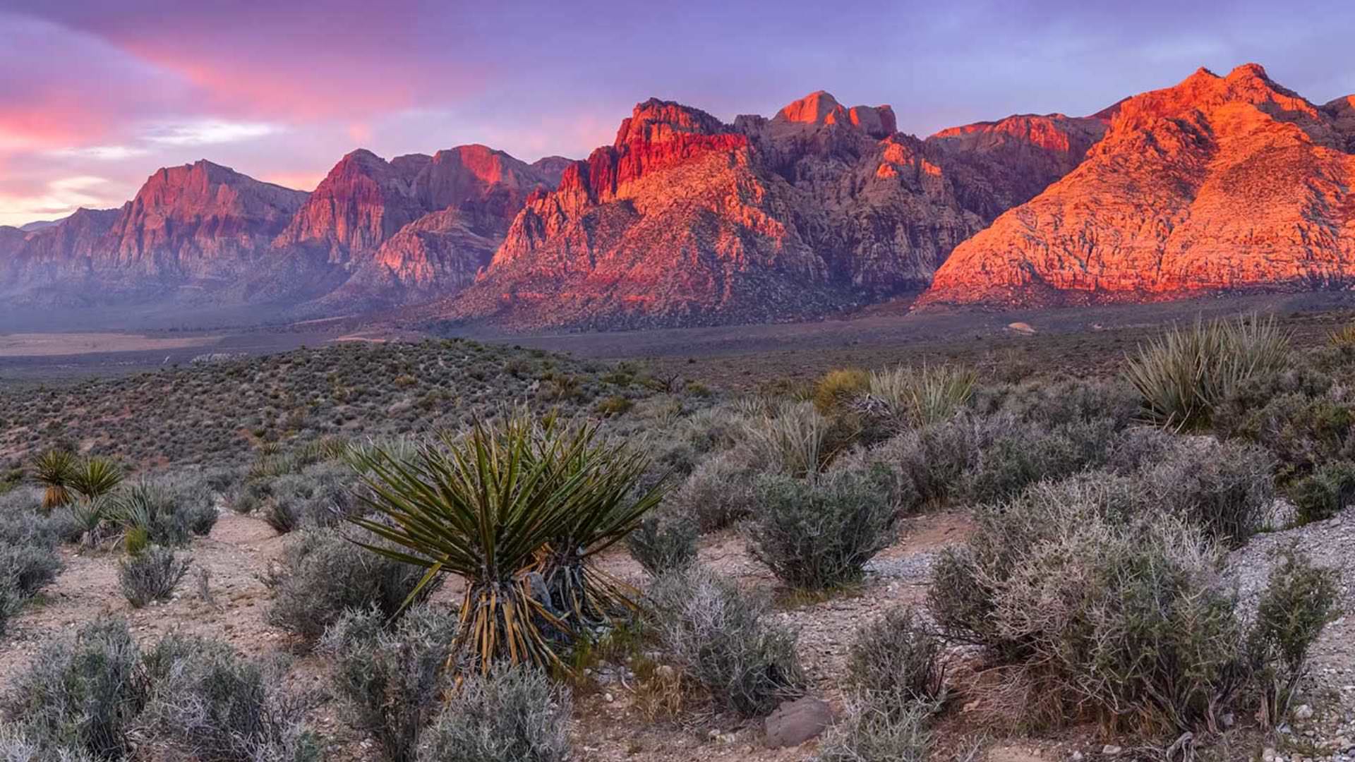 Large jagged red looking mesas surrounded by green yuca plants and shrubs