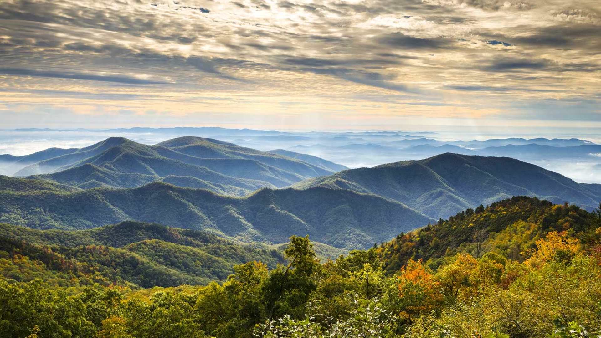 Rolling mountains covered with green trees