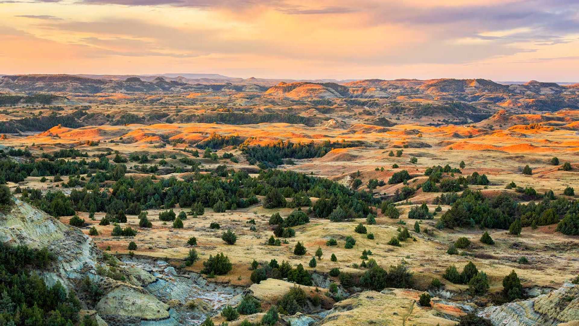 Multiple mesas covered with green trees and brown grass