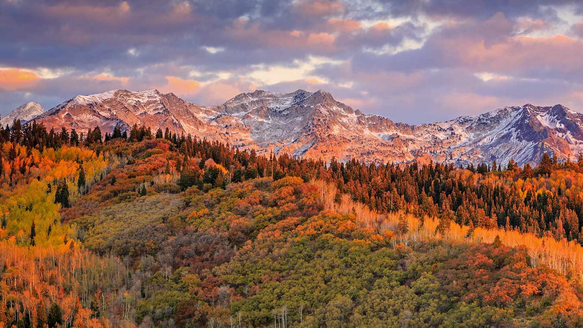 Rolling hills filled with green and orange trees with snow-capped rocky mountains in the background