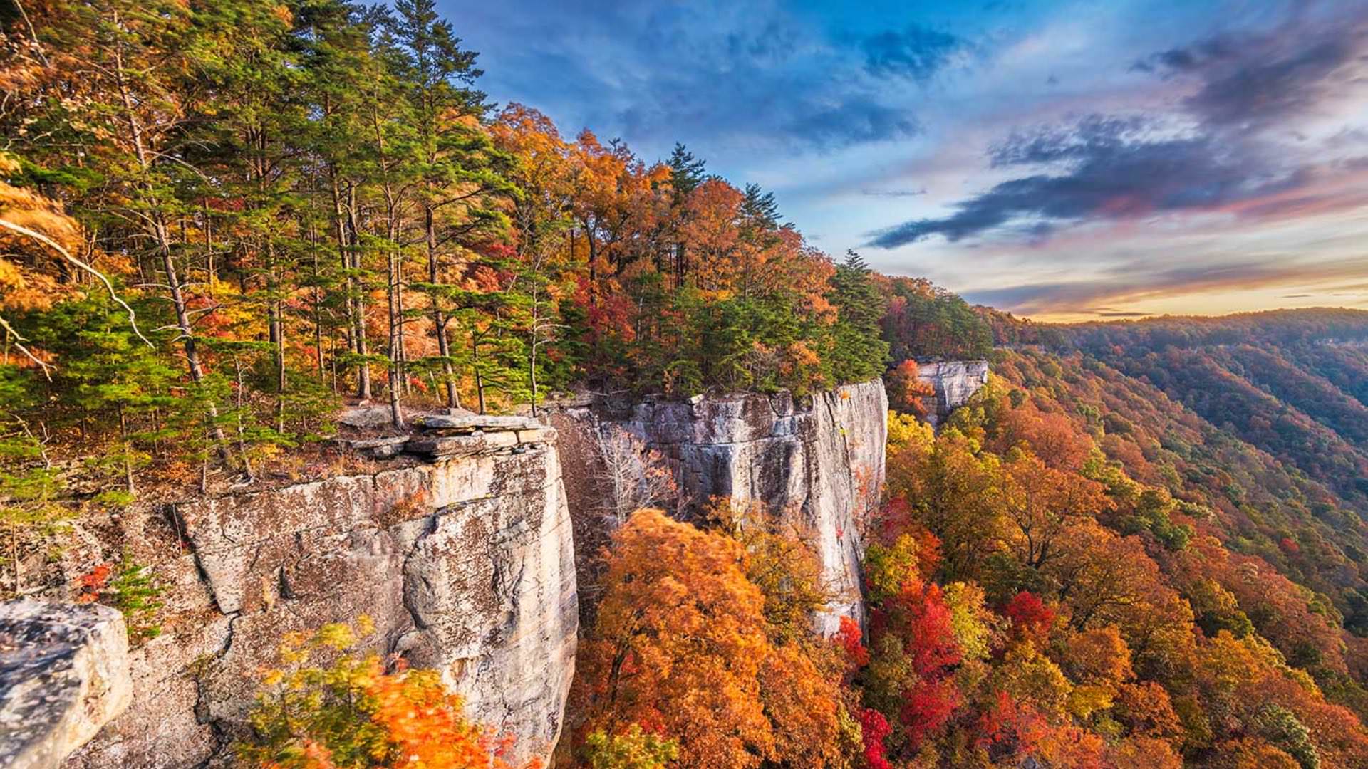 Rocky edge of cliff covered by green, red, and orange trees